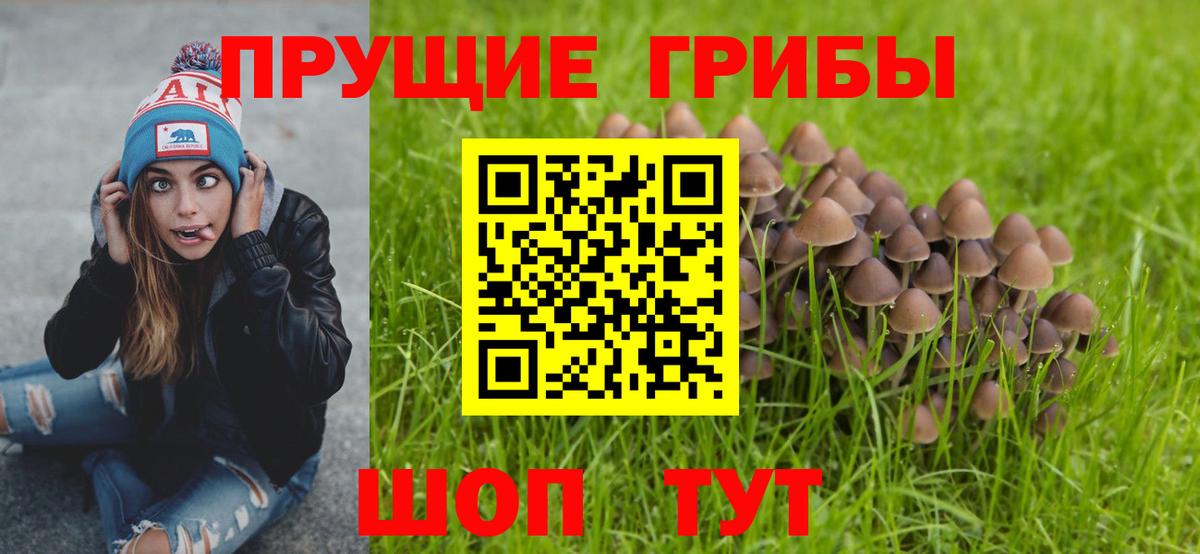 Урюпинск  Псилоцибиновые грибы прущие грибы  Вход с VPN 